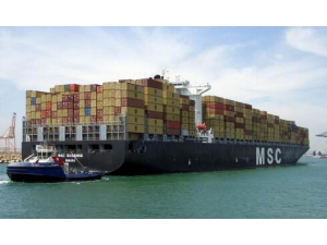 海运进出口拼箱